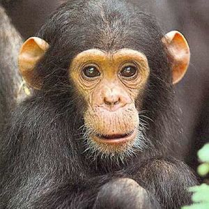 Meet your Posher, Brooklyn